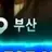 유튜버 MT