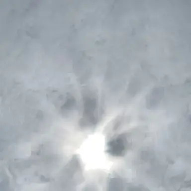 Profile image of 少年忍者