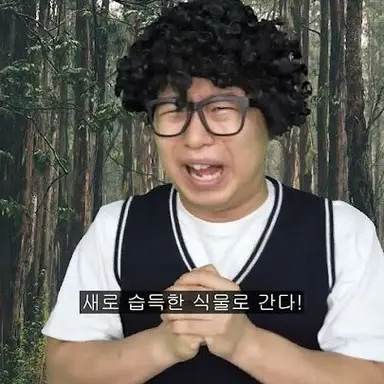 Profile image of 김나무