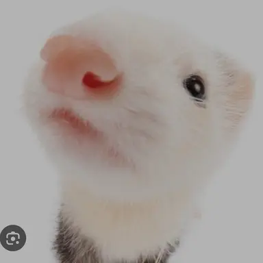 Profile image of 현진