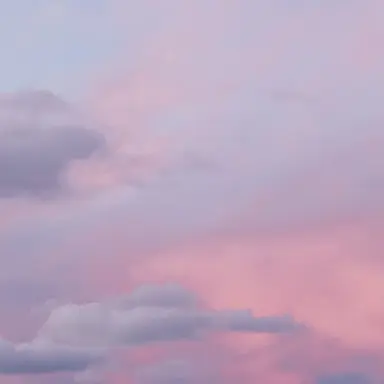 Profile image of 유저