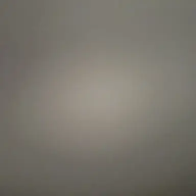 Profile image of 여자애들