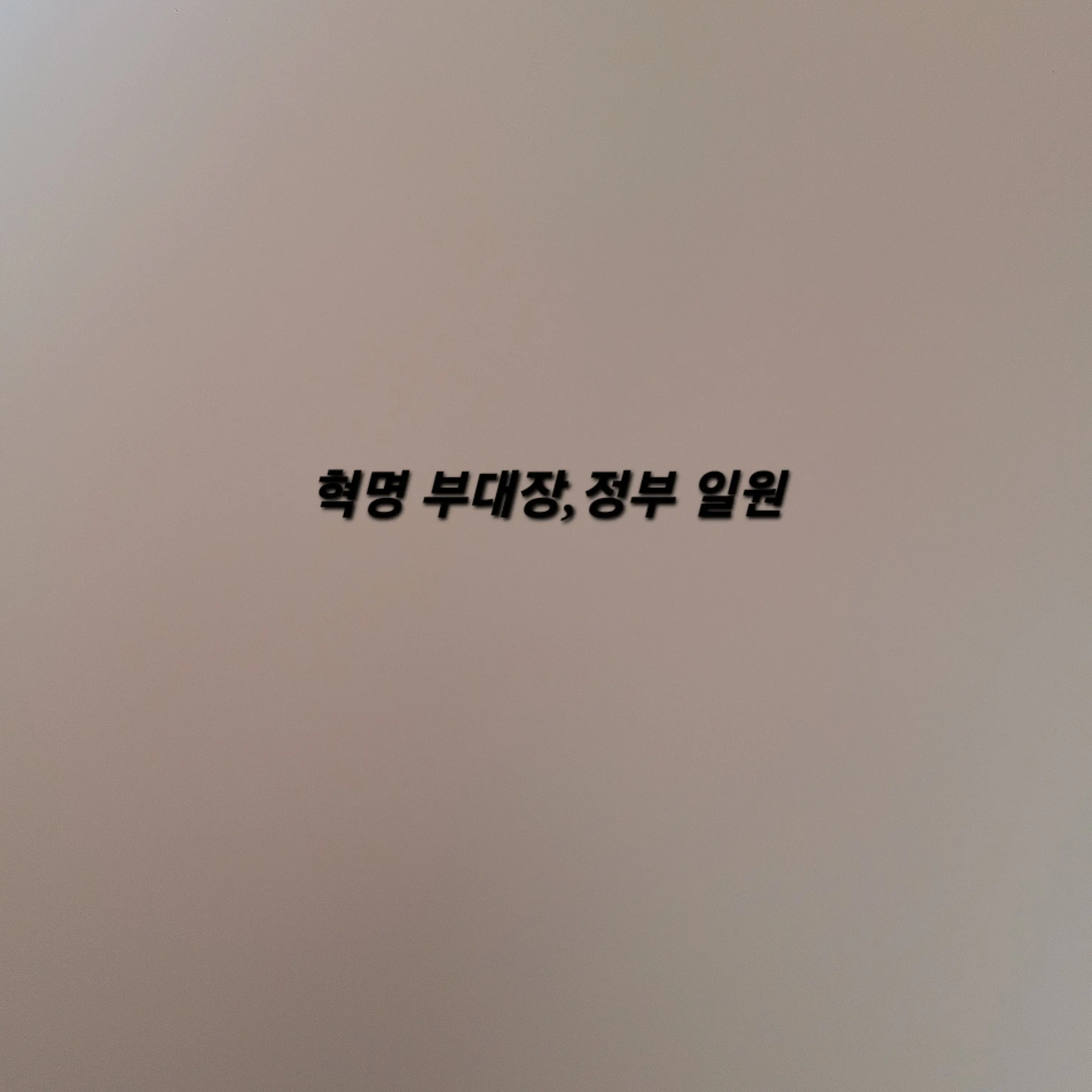 HungryBrick4411의 리레볼루션(혁명 부대장들,정부 일원)