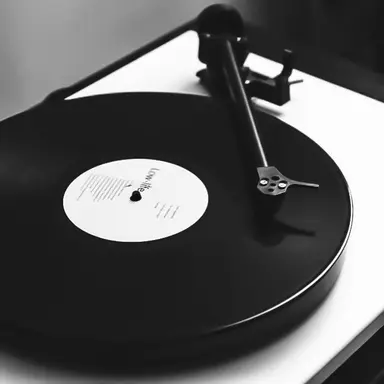 Profile image of 이핑구