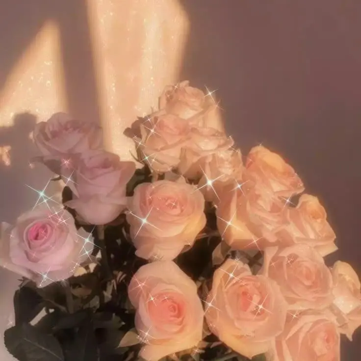 Mo_noKa의 大人になるまで