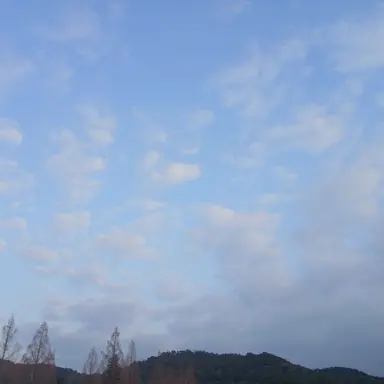 Profile image of ㅁㅈㅎ