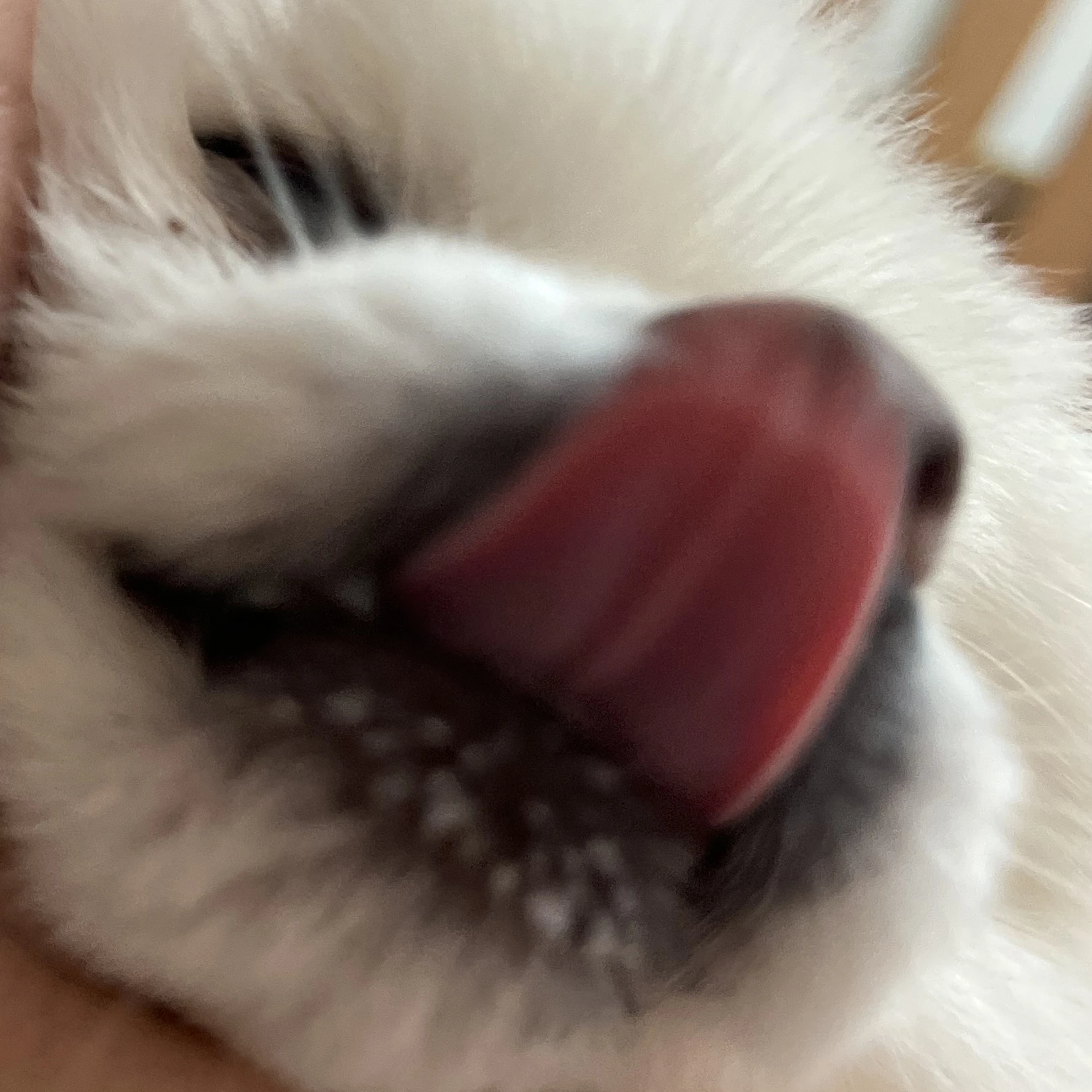 평학