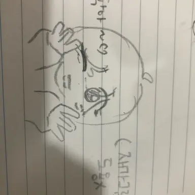 Profile image of 여우