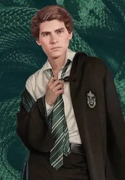 Profile image of Sebastian Sallow