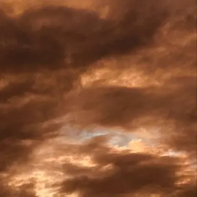 Profile image of 행크