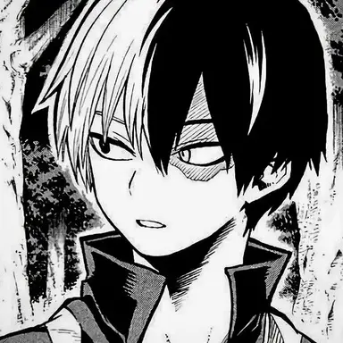 Profile image of Shoto Todoroki