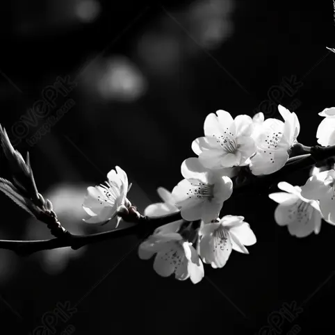 Hueng_two의 감기.