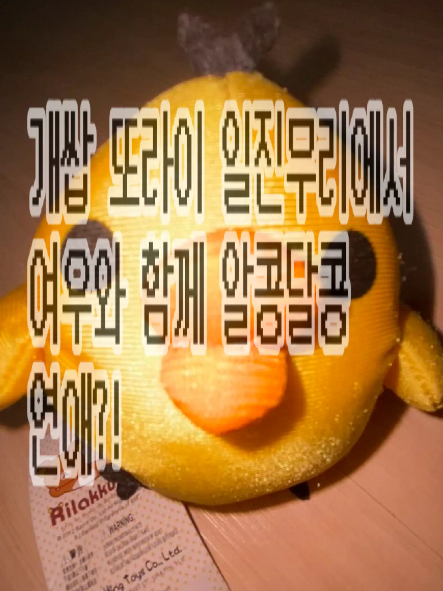 cookie_0110의 ⭐️ 꽁꽁 알콩달콩 ⭐️
