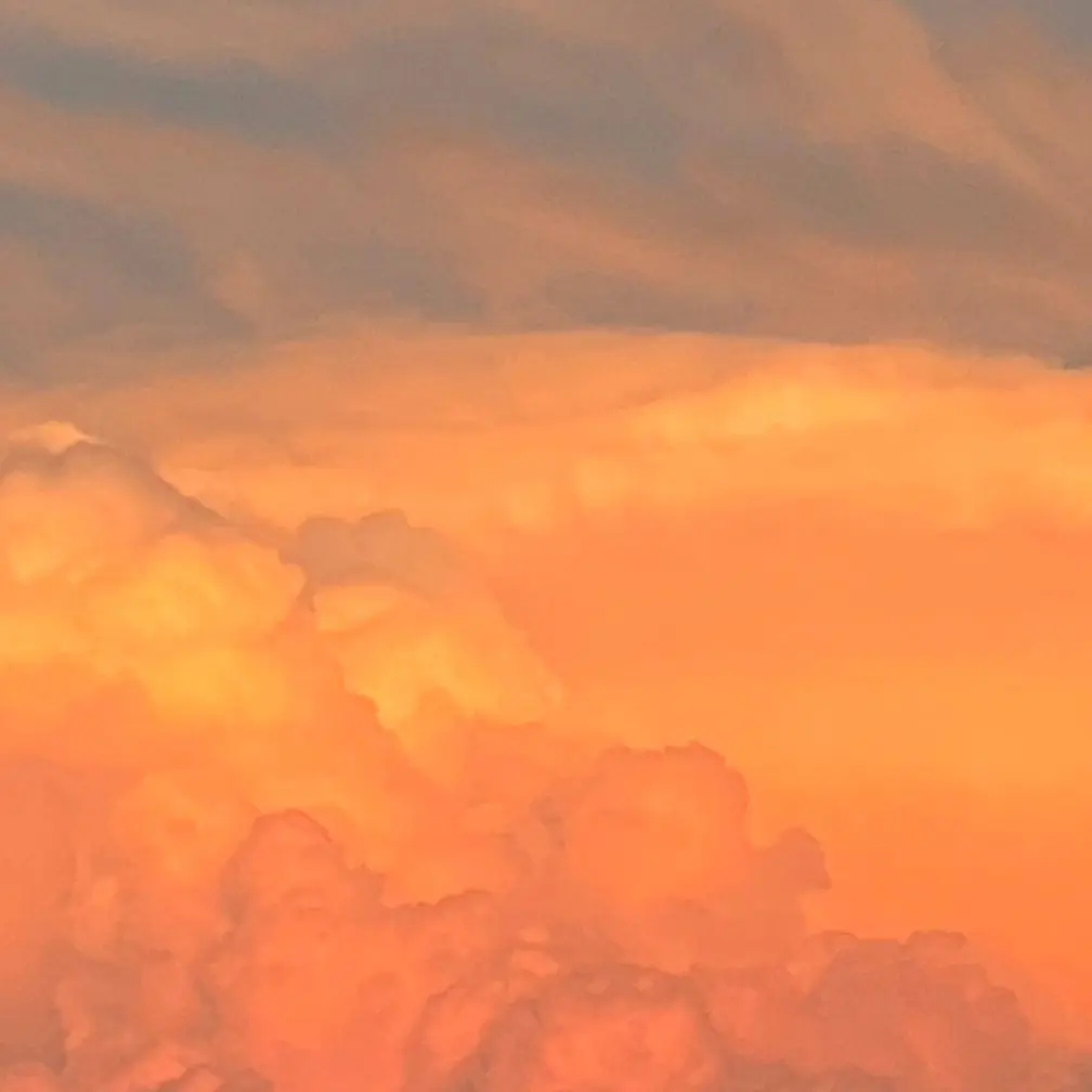 PoeticTrout5783의 Dawn of Relaxation