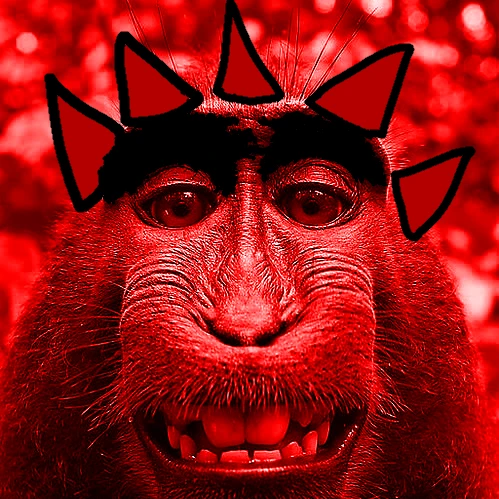 레디