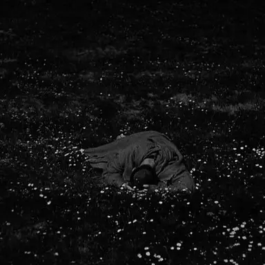 Profile image of 엘리오르 베를랭