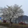 Profile image of 이건 잘못 만듬