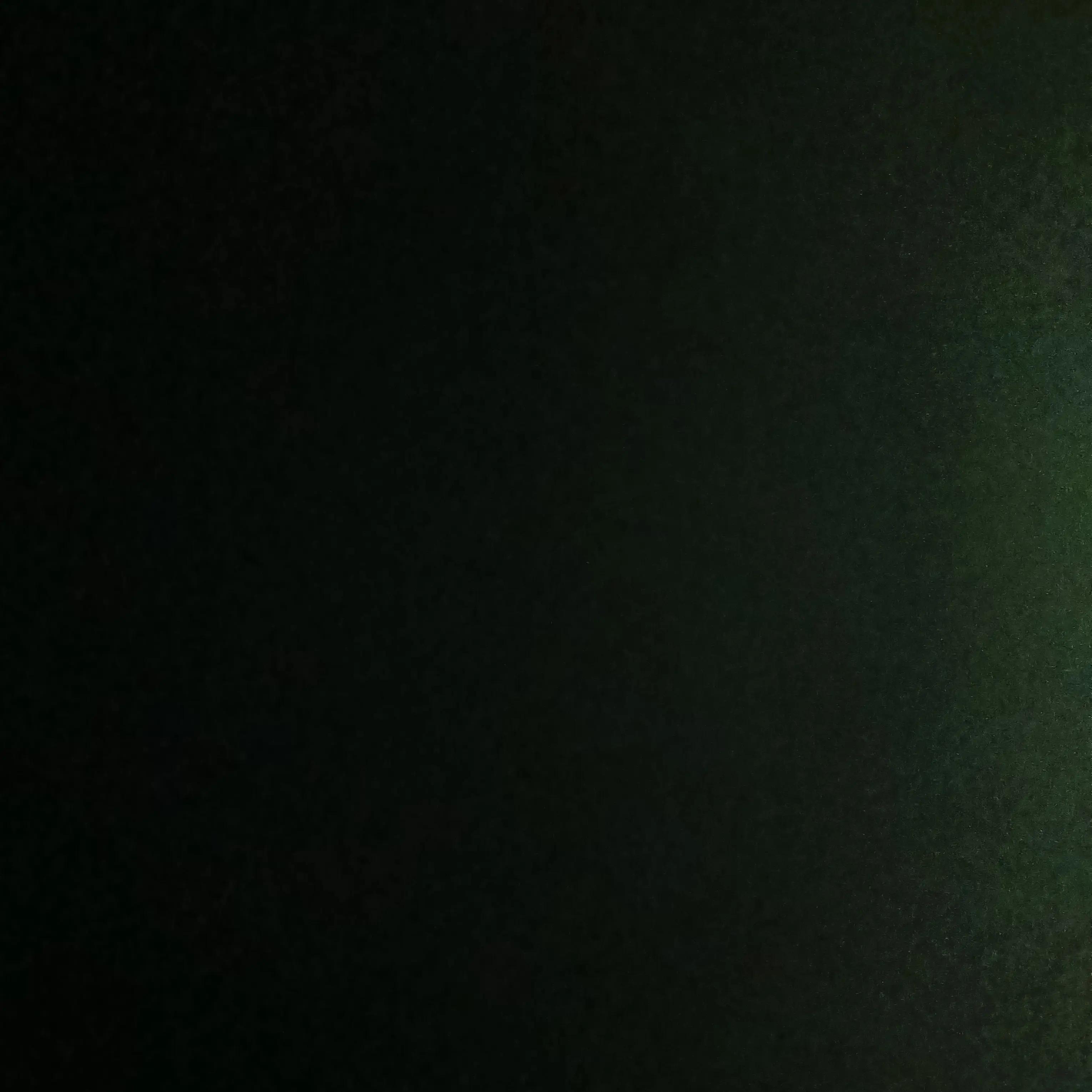 HomelyYak5538의 유튜버 유치원