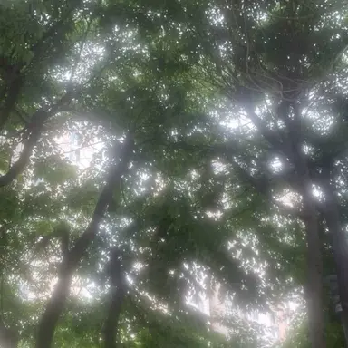 Profile image of 여우