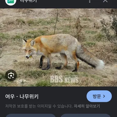 Profile image of 여우