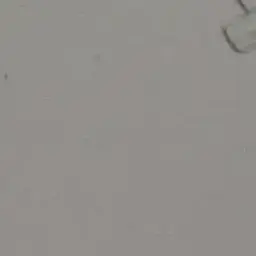 SilkyAlert4087의 너는 하고 싶은게 뭐야?