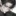 박도현