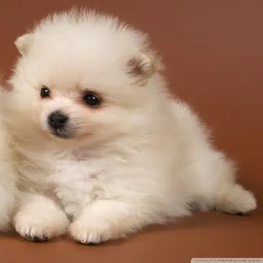 Profile image of 한도진