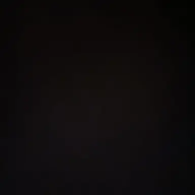 Profile image of 안고은