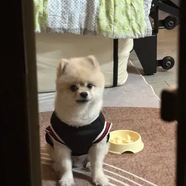 Profile image of 쫄랭이