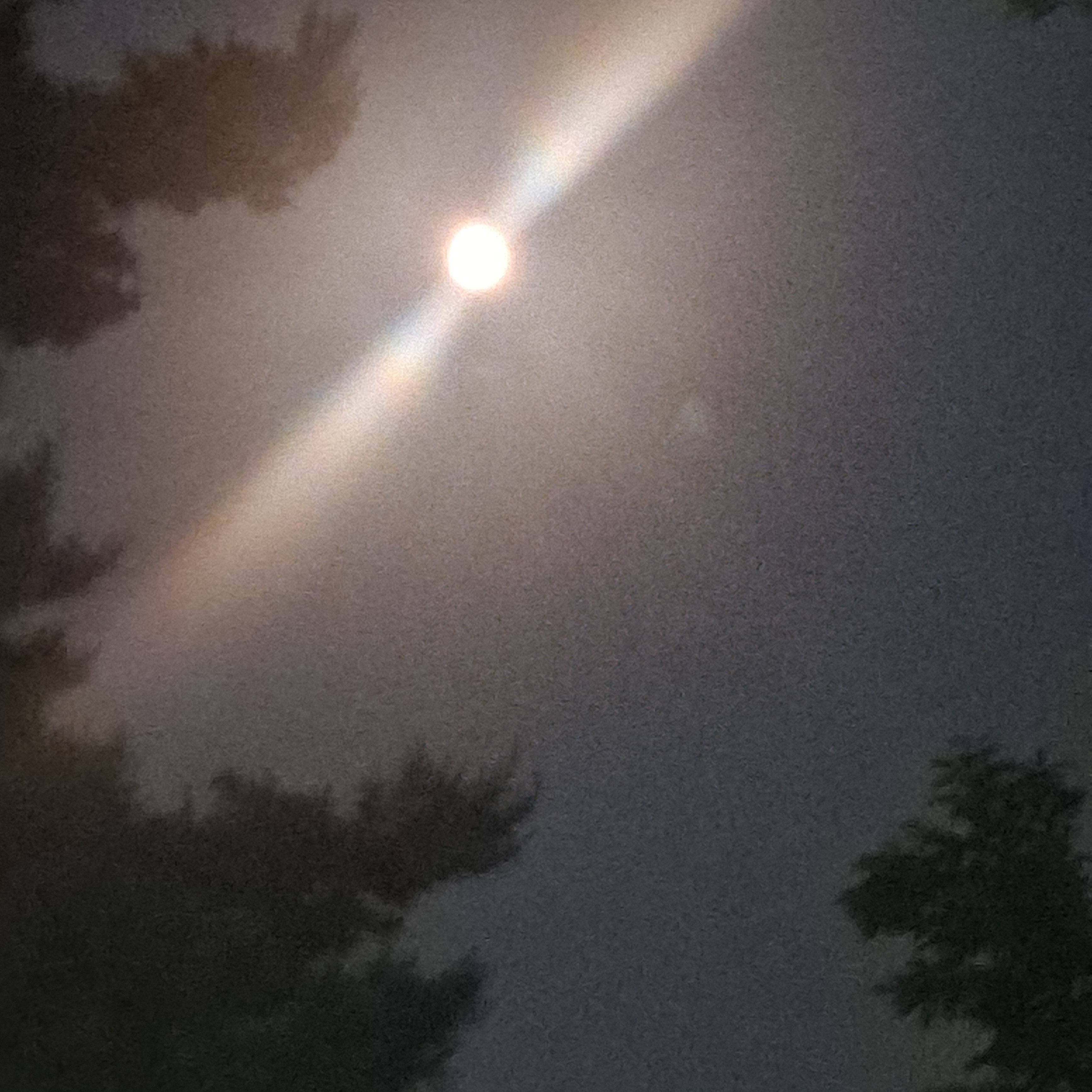 마음대로 rpg 대표 이미지