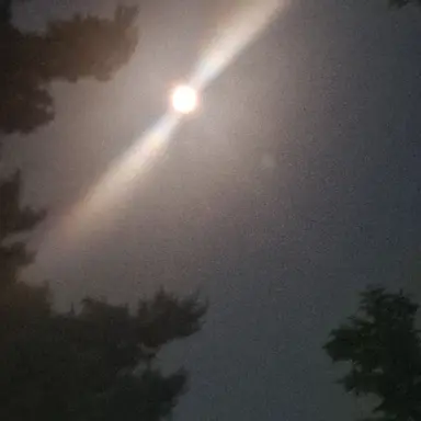 Profile image of 내 마음대로