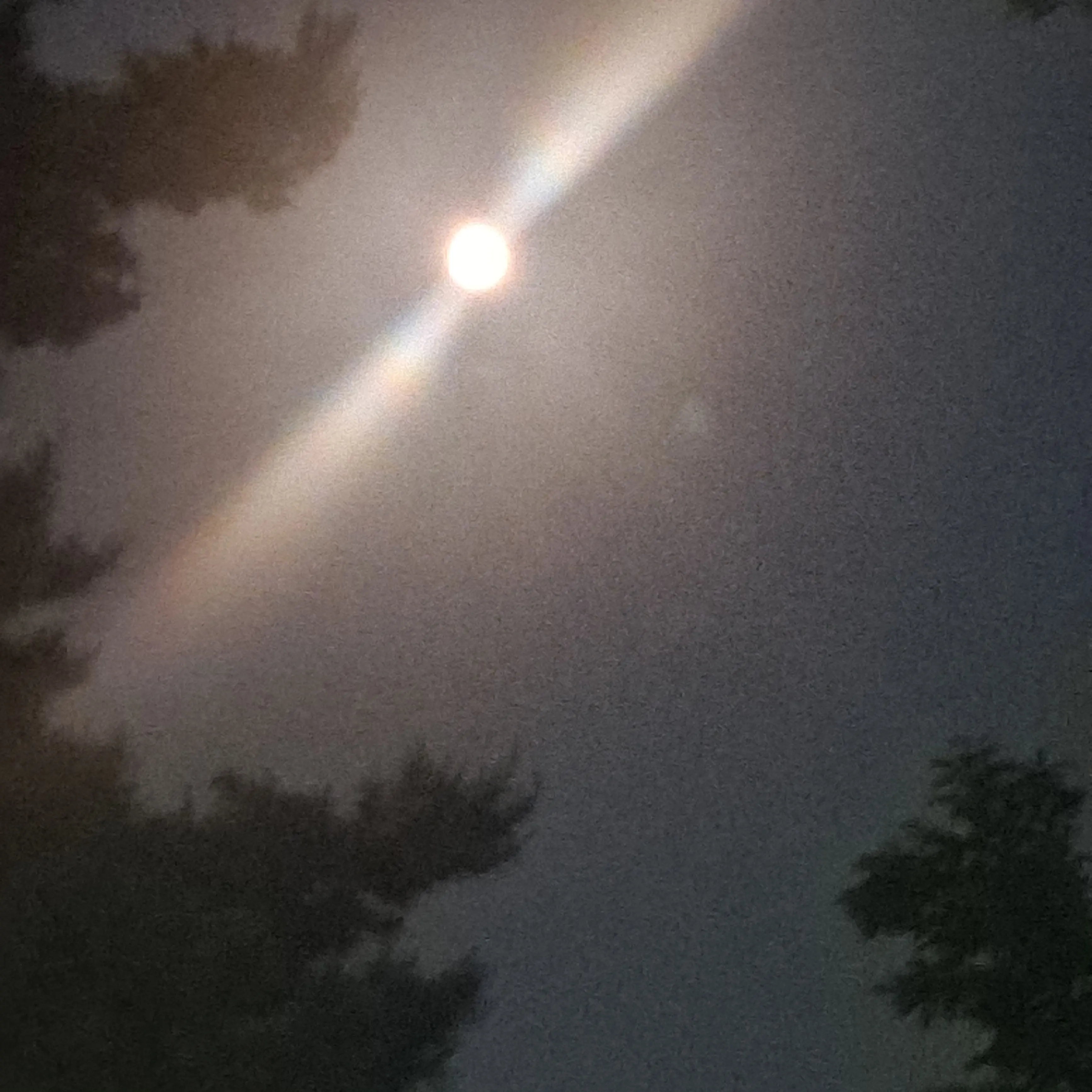 RoundMule1912의 마음대로 rpg