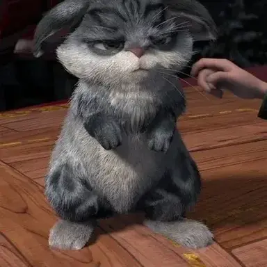 Profile image of Aster