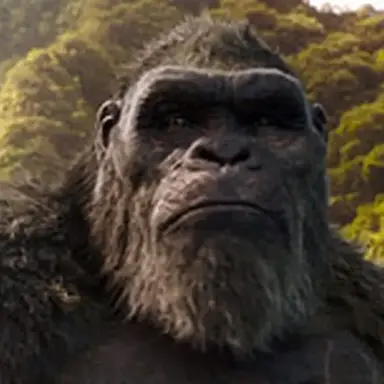 Profile image of 콩