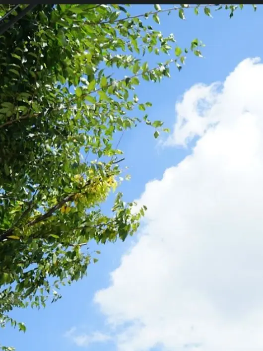 Banani000의 空唄(하늘노래)