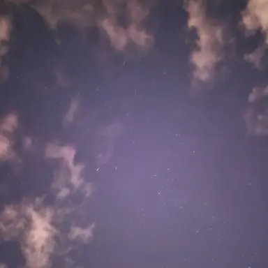 Profile image of 멜로우