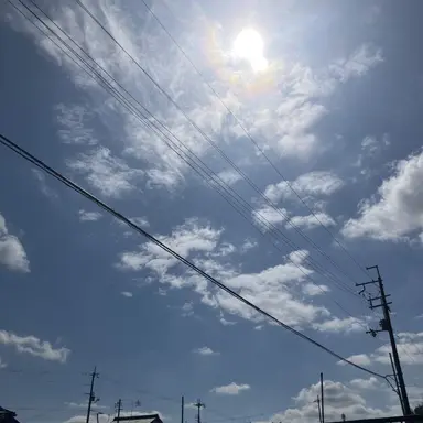 Profile image of 神髪紙