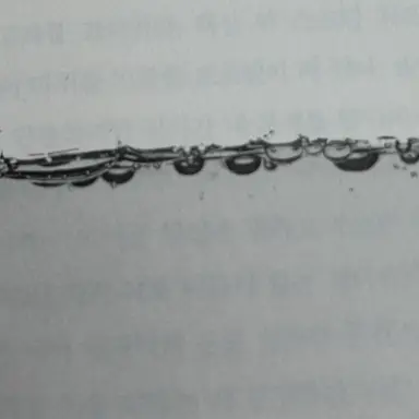 Profile image of 박사