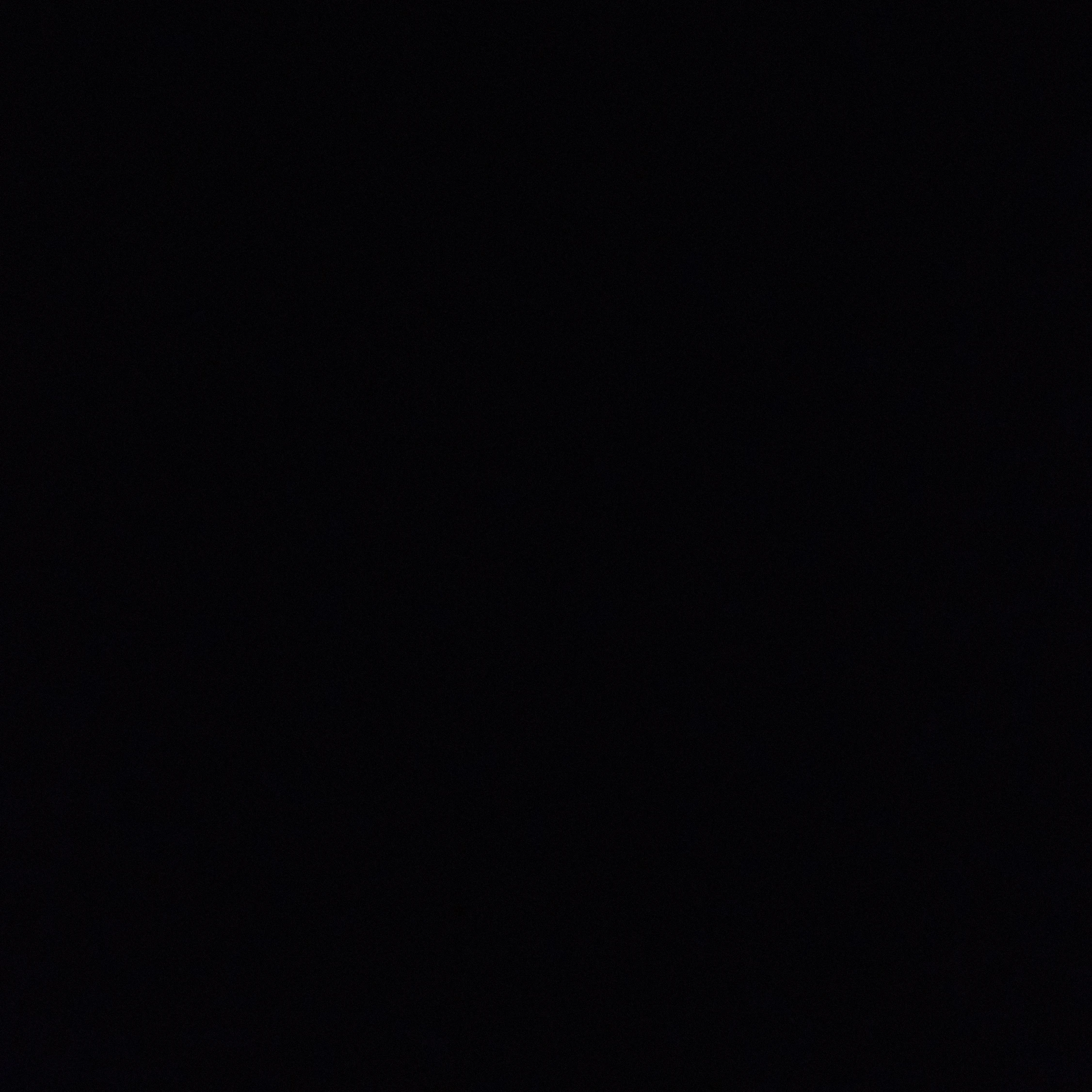 양정인