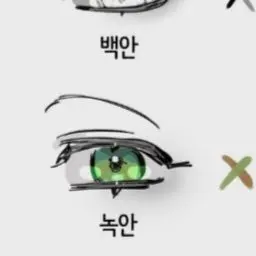 Profile image of 곰숭