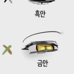 Profile image of 꽥