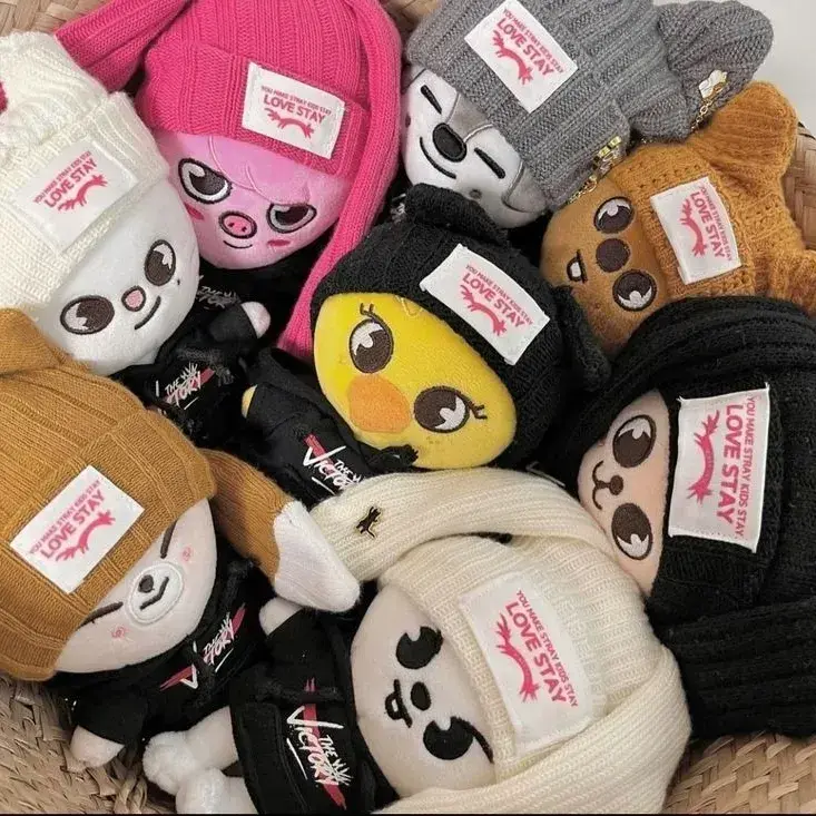 MatteWhale5758의 NOVA-pick me bl