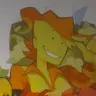 Profile image of イエロー