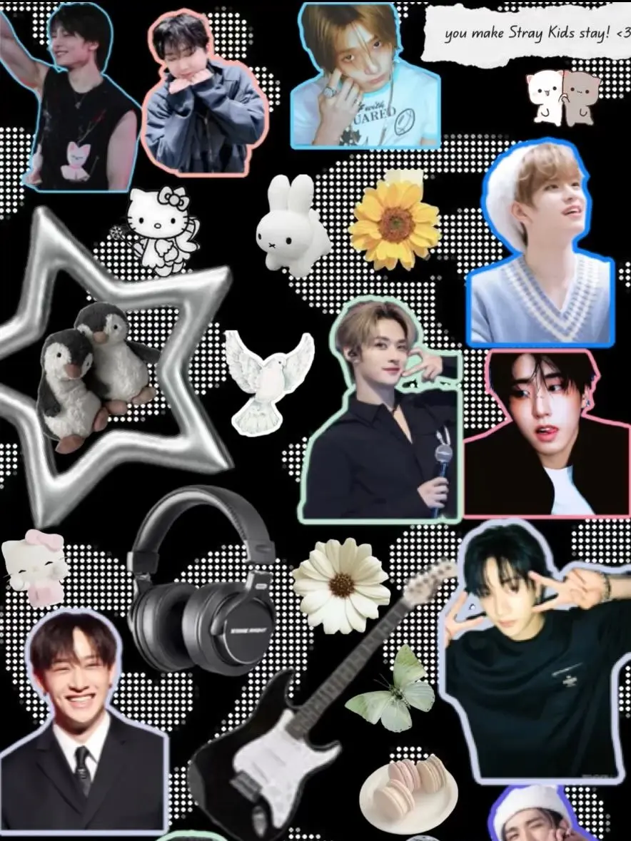 SuppleKagu8973의 Stray Kids