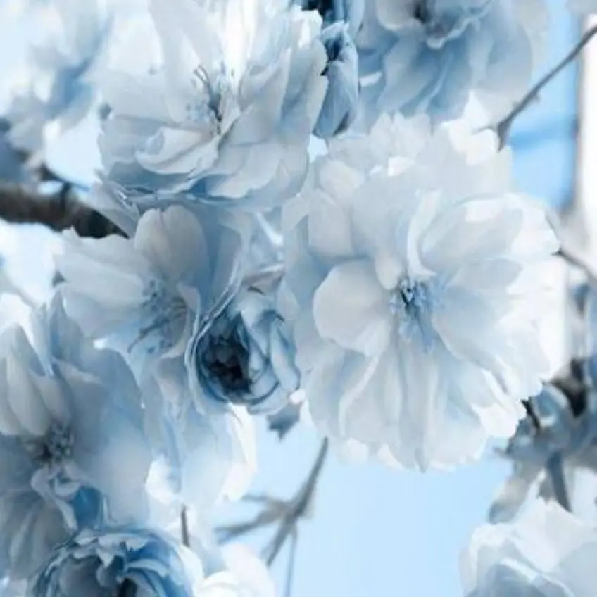 sleep1228의 그리스 로마 신화 trpg