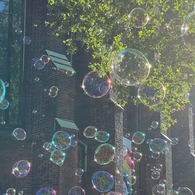 Profile image of 여우