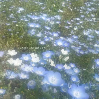 Profile image of 싸이클