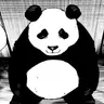 Profile image of 판다