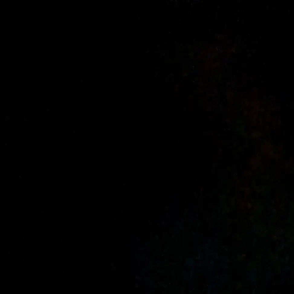 LoudBilby7833의 동거남