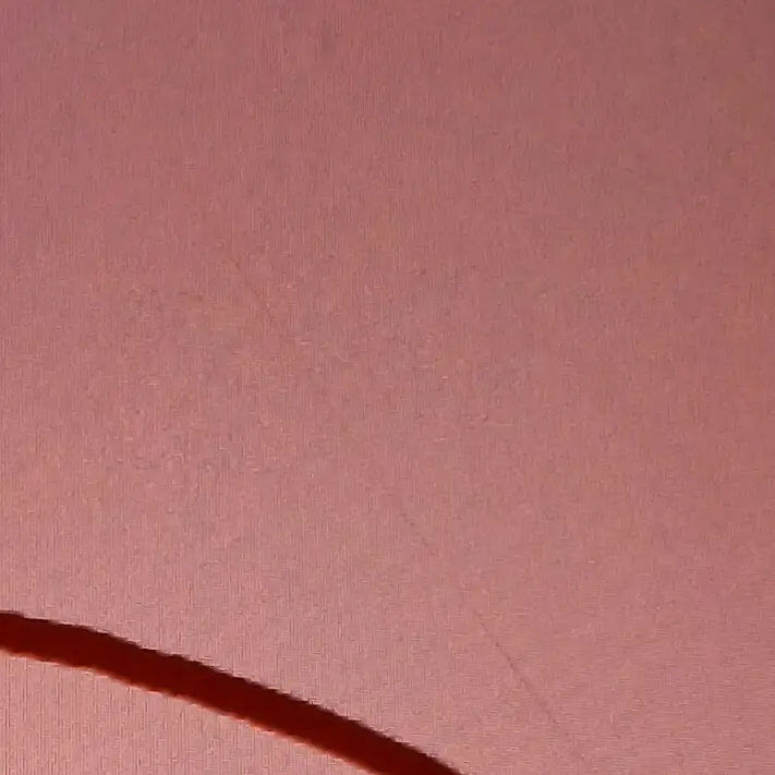 GreasyTrack4894의 유튜버 폐가체험!